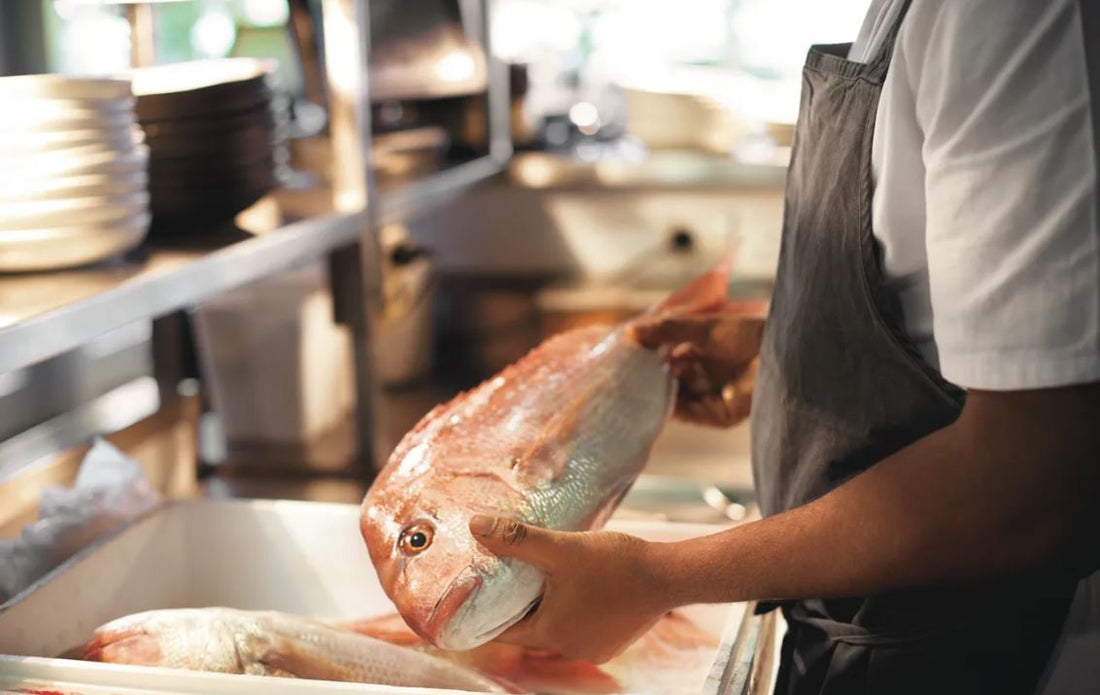 The Future of Fish