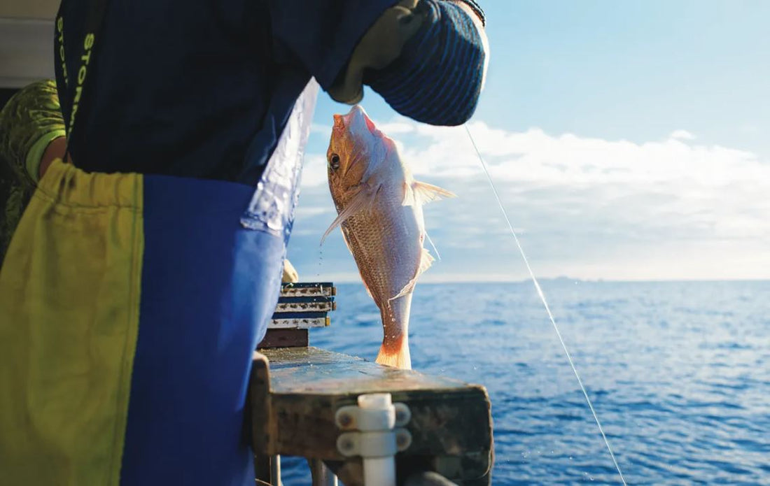 The Future of Fish
